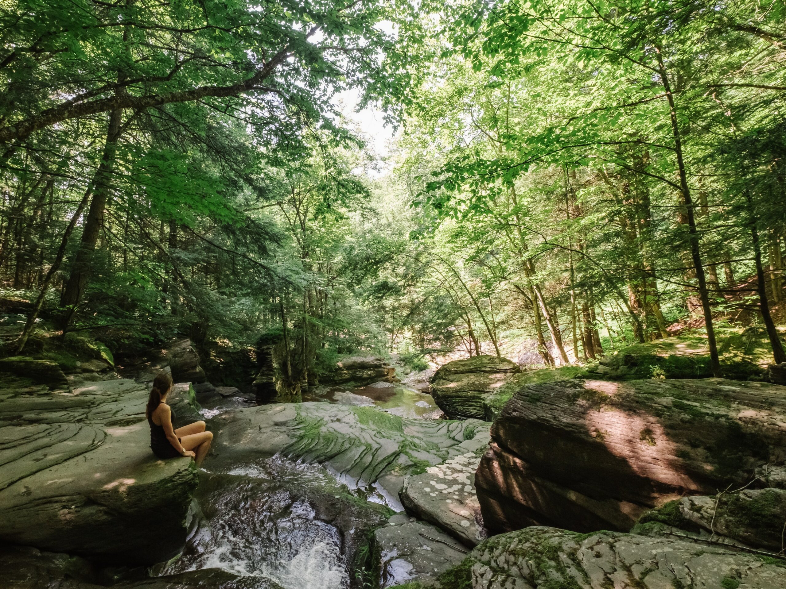 CAtskills_Watering_Hole