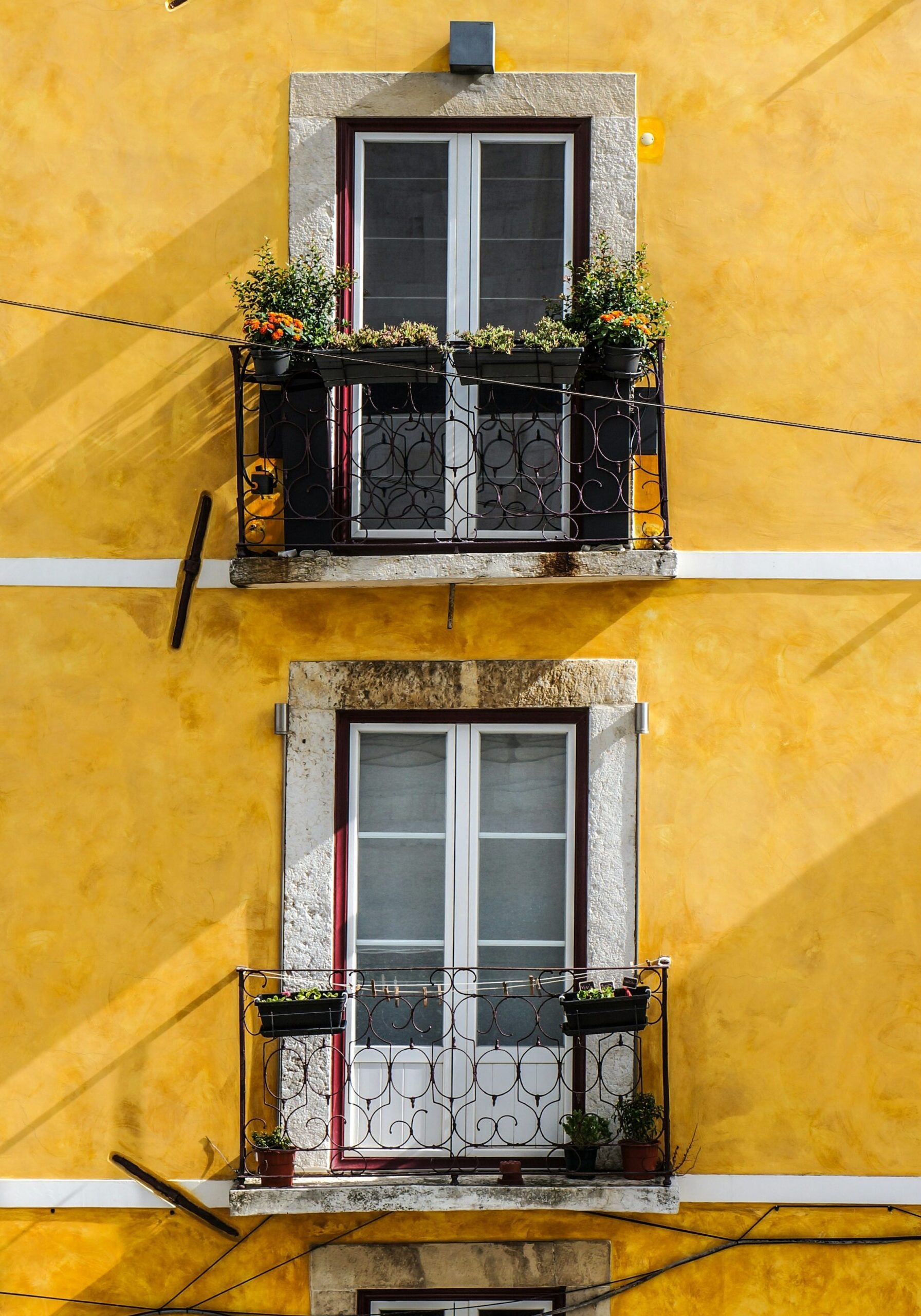 lili-popper-hq8s4zjhj3I-unsplash